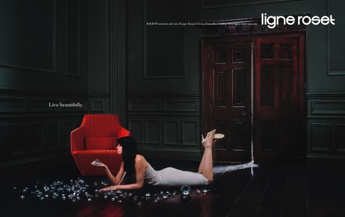 высококачественная-мебель-бренды-Ligne_Roset